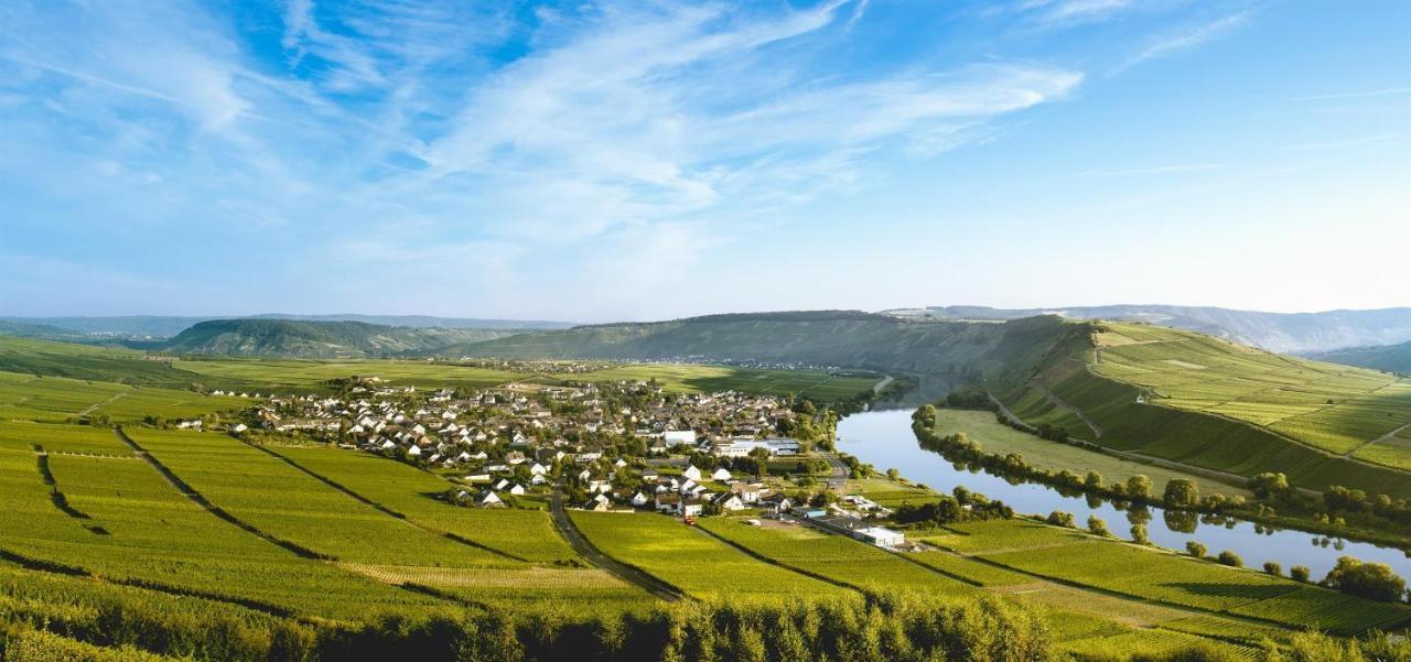 Ferienweingut Ulrike Thul Lägenhet Leiwen Exteriör bild