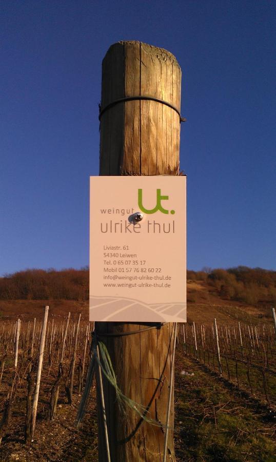 Ferienweingut Ulrike Thul Lägenhet Leiwen Exteriör bild